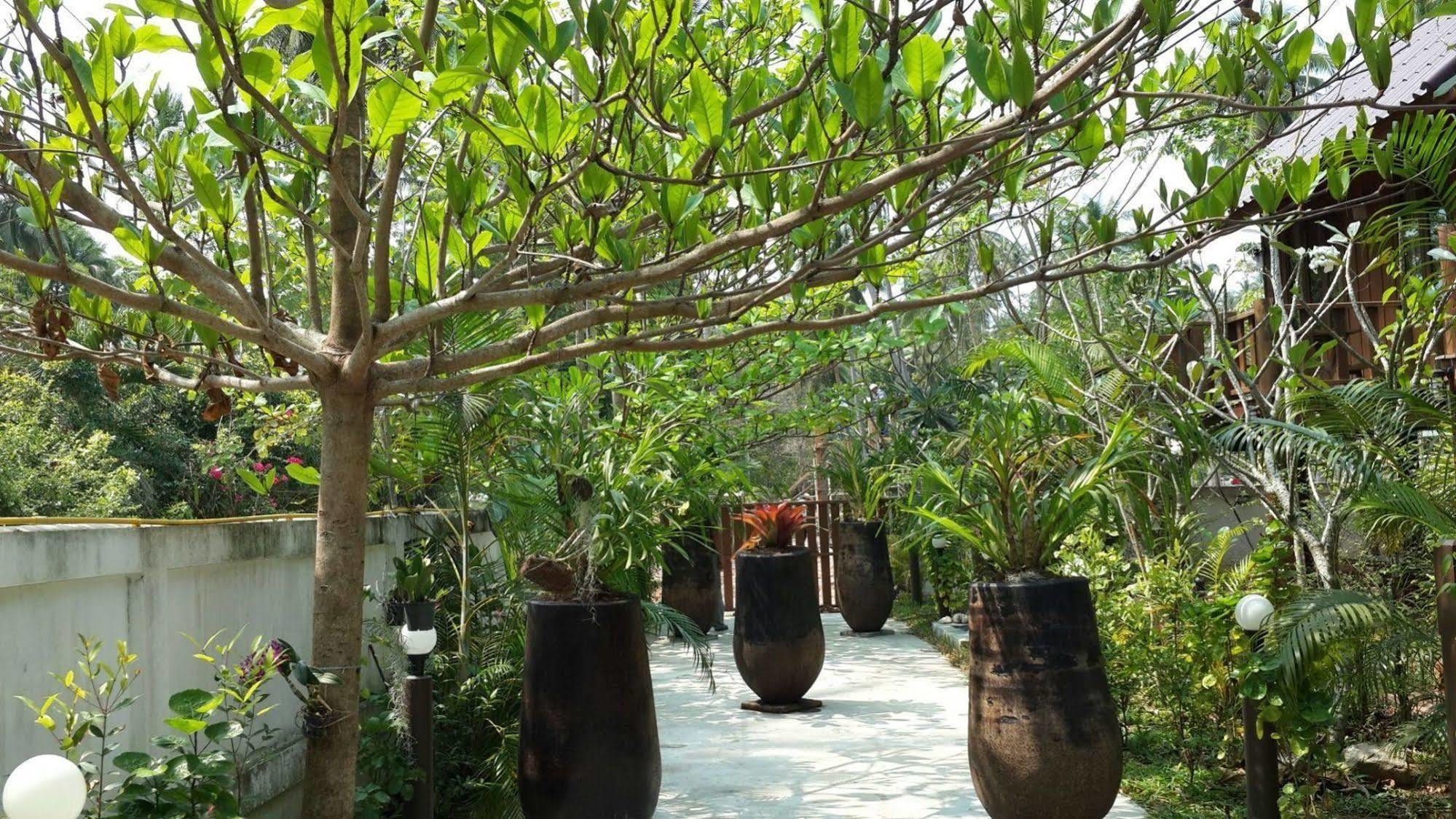 The Theatre Villa Bang Saphan Ngoại thất bức ảnh